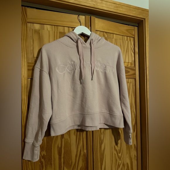 Blush Pink Calvin Klein Crop Sweatshirt - Picture 2 of 2